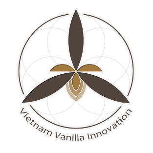 vvivanilla