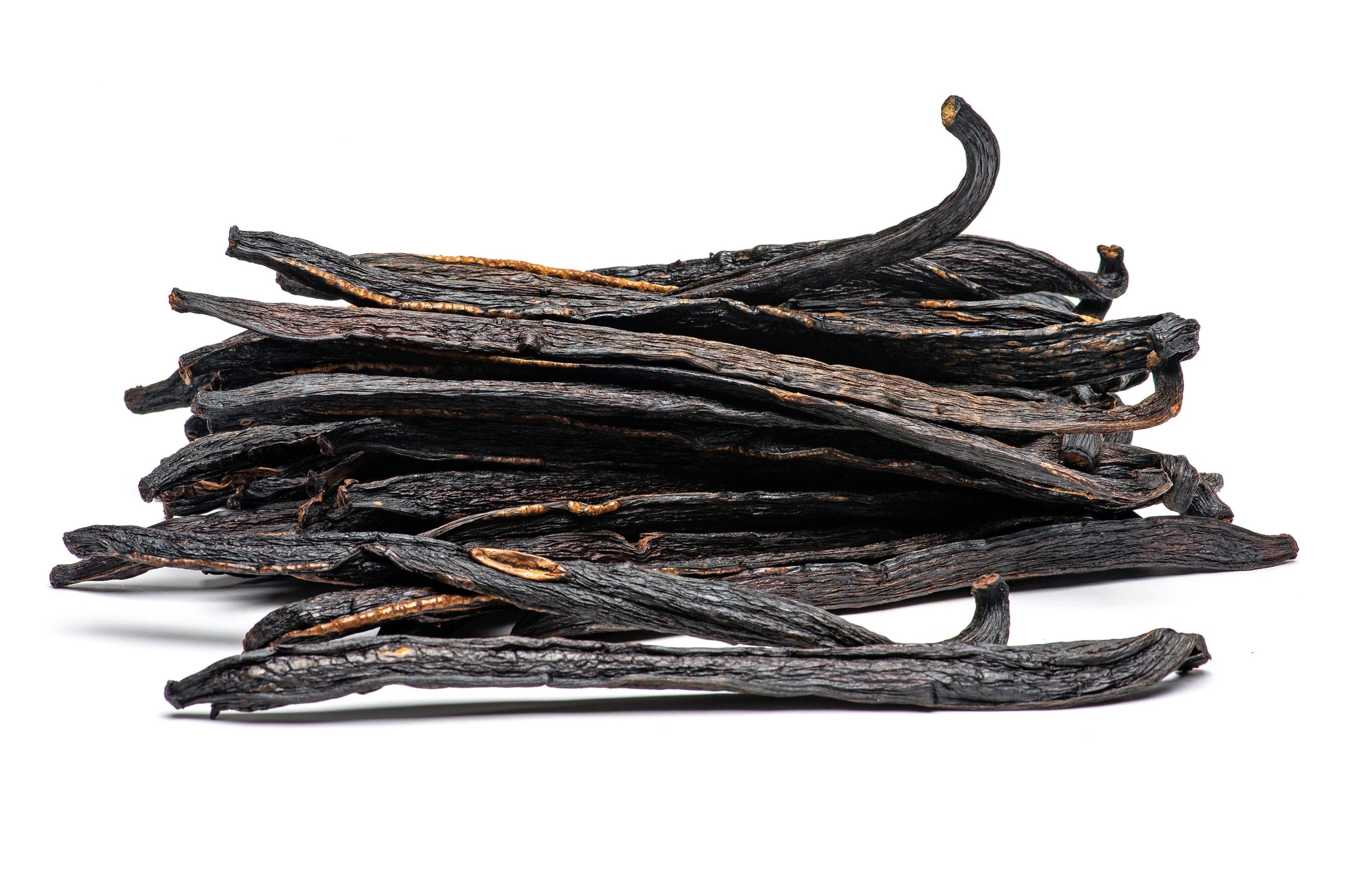 Giống Vanilla Pompona có kích thước quả lớn và ít phổ biến hơn Planifolia.